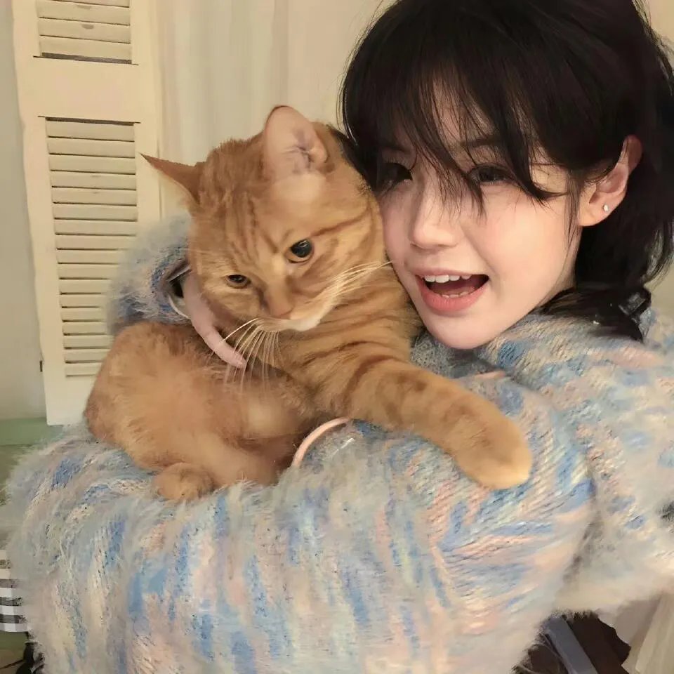 德云社张鹤伦相声演出北京站2017