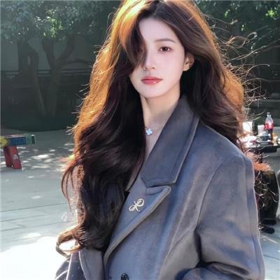 军检察官多伯曼犬